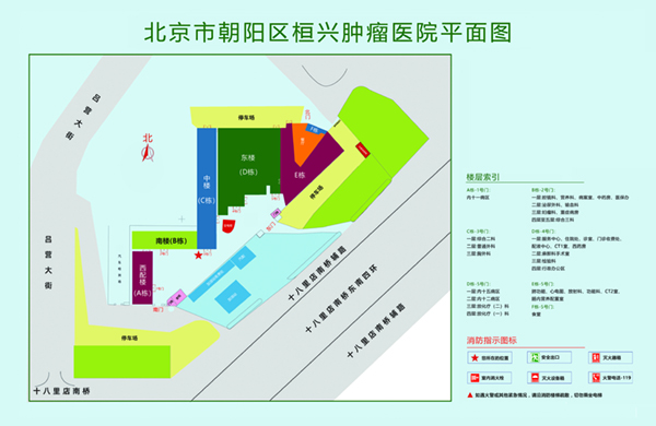 鸡鸡爱骚逼北京市朝阳区桓兴肿瘤医院平面图